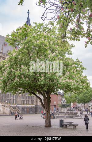 Aachen April 2022: Willy-Brandt-Platz im Frühjahr. Im Hintergrund die aquis plaza Stockfoto