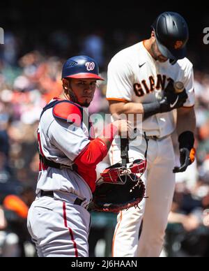 San Francisco, Kalifornien, USA. Mai 01 2022 San Francisco CA, USA Washington Catcher Keibert Ruiz (20) schaut auf seinen Dugout für ein Signal während des MLB-Spiels zwischen den Washington Nationals und den San Francisco Giants. Die Nationals gewannen 11-5 im Oracle Park San Francisco Calif. Thurman James / CSM Credit: CAL Sport Media/Alamy Live News Stockfoto