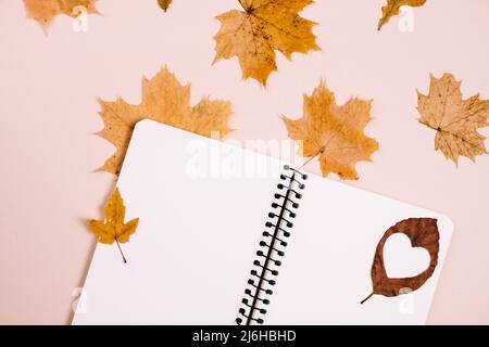 Herbst- und Winterkomposition. Notizbuch und trockene Herbstblätter Ahorn auf pastellrosa Hintergrundwand im Studio. Thanksgiving, Herbst, halloween Konz Stockfoto