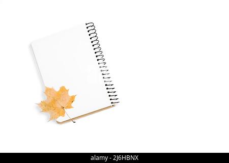 Herbst- und Winterkomposition. Notizbuch und trockener Herbstblatt-Ahorn auf weißer Studio-Hintergrundwand mit Platz für Werbung. Thanksgiving, fal Stockfoto