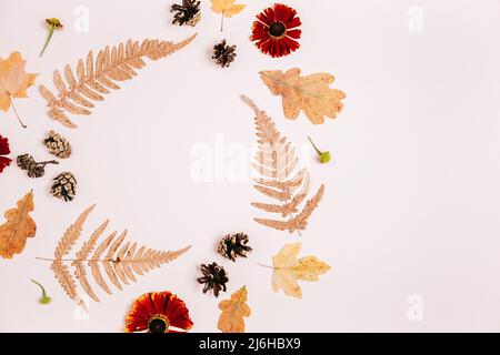 Herbstkomposition. Kranz aus getrockneten Ahornblättern, roten Blumen, Farnen, Tannenzapfen auf rosa Studio-Hintergrundwand für Werbung. Herbst, Herbst, Stockfoto