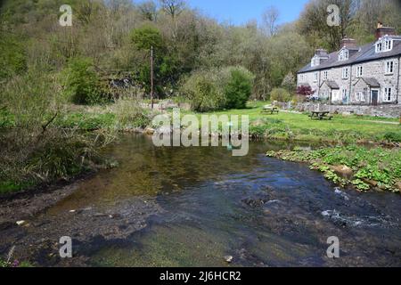 Ein toller Spaziergang in den Tiefen von Chee Dale im Derbyshire Peak District. Stockfoto