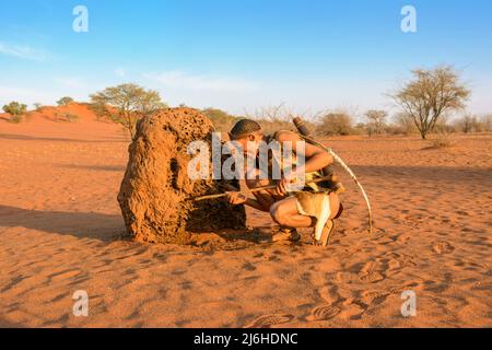 San (Saan) Buschmänner, indigene Jäger und Sammler, inspizieren Termitenhügel für Aardvark-Aktivitäten, Kalahari-Wüste, Namibia, Südwestafrika ... mehr Stockfoto