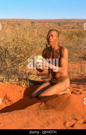 San (Saan) Buschmänner, einheimische Jäger und Sammler, begraben Straußeneier, gefüllt mit Wasser für die Trockenzeit, Kalahari-Wüste, Namibia, Südwestafrika Stockfoto