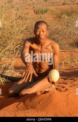 San (Saan) Buschmänner, einheimische Jäger und Sammler, begraben Straußeneier, gefüllt mit Wasser für die Trockenzeit, Kalahari-Wüste, Namibia, Südwestafrika Stockfoto