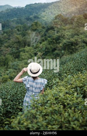 Glückliche Frau Tourist in blauem Kleid und Hut genießen Sie schöne Tea Garden.Traveler Besuch in grünen natürlichen Hügeln am Morgen. Reise, Urlaub, Reise und j Stockfoto