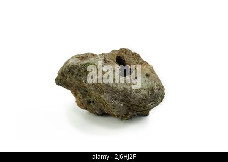 Alter poröser Stein, bewachsen mit Moos auf weißem Grund. Stein für Textur Stockfoto