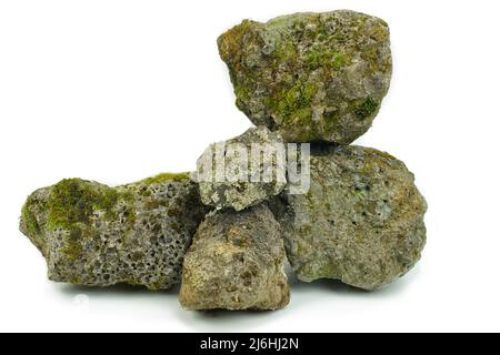 Alter poröser Stein, bewachsen mit Moos auf weißem Grund. Stein für Textur Stockfoto