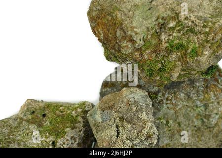 Alter poröser Stein, bewachsen mit Moos auf weißem Grund. Stein für Textur Stockfoto