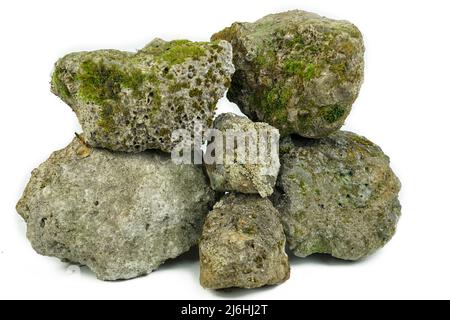 Alter poröser Stein, bewachsen mit Moos auf weißem Grund. Stein für Textur Stockfoto