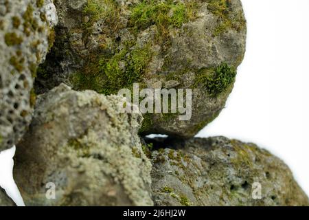 Alter poröser Stein, bewachsen mit Moos auf weißem Grund. Stein für Textur Stockfoto