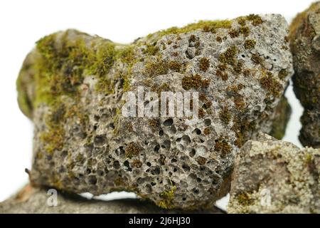 Alter poröser Stein, bewachsen mit Moos auf weißem Grund. Stein für Textur Stockfoto