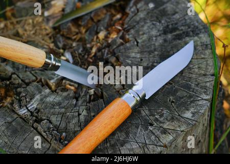 Ein Klappmesser mit einem Holzgriff liegt auf einem Stumpf nahe des Ufers Stockfoto