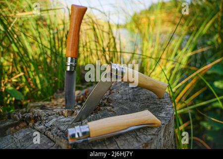 Ein Klappmesser mit einem Holzgriff liegt auf einem Stumpf nahe des Ufers Stockfoto