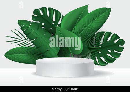 Banner-Vorlage mit weißem Podium und grünen tropischen Blättern. Vektor 3D realistische Illustration Stock Vektor
