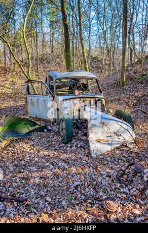 Autowrack in einen Wald geworfen Stockfoto