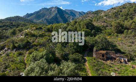 Blick auf die Ausläufer der sierra blanca in der Gemeinde Marbella, Spanien Stockfoto