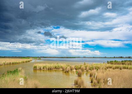 Landschaftlich schöner Blick auf das Delta del Ebro Stockfoto