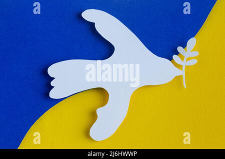 Weiße Papiertaube mit Olivenzweig auf ukrainischer Flagge. Speicherplatz kopieren. Stockfoto