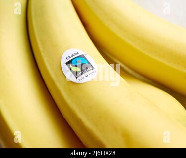 Reihe von Fairtrade-Bananen Stockfoto