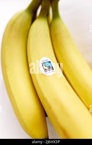 Reihe von Fairtrade-Bananen Stockfoto