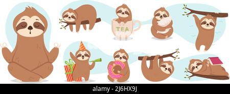 Schlafende Faultiere. Niedliches Baby wild Faultiere Tiere hängen Zweige in entspannenden Posen genaue Vektor-Illustrationen gesetzt Stock Vektor