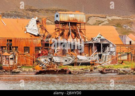 Zerstörte Gebäude der verlassenen Walfangstation von leith im Süden georgiens Stockfoto