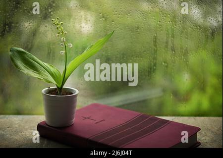 Regnerischer Frühling mit Maiglöckchen auf der Bibel Stockfoto