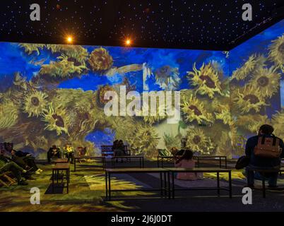 London, Großbritannien. 30. April 2022. Zuschauer beobachten Sunflowers-Serie bei Van Gogh The Immersive Experience mit illustrierten Licht- und Klanggeschichten. Stockfoto