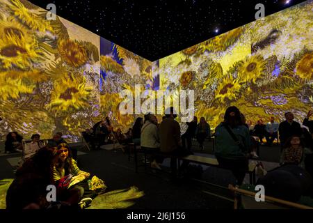 London, Großbritannien. 30. April 2022. Zuschauer beobachten Sunflowers-Serie bei Van Gogh The Immersive Experience mit illustrierten Licht- und Klanggeschichten. Stockfoto