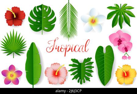 Vektor-Papier geschnitten tropischen Pflanzen Blätter und Blumen Stock Vektor