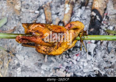 Huhn auf Feuer gegrillt draußen lokalen Camping Wald mit Rauch Stockfoto