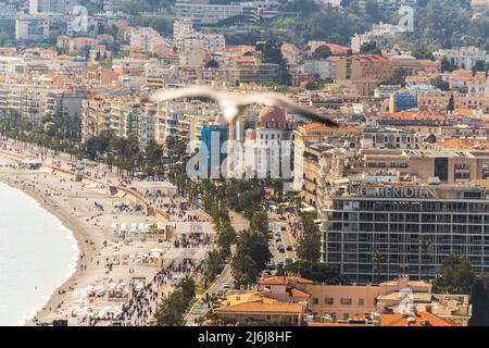 Eine Möwe fliegt über Nizza in Frankreich. Stockfoto