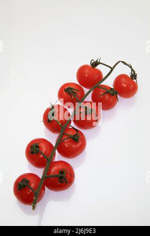 Tomaten von der Isle of Wight Mai 2022 Stockfoto