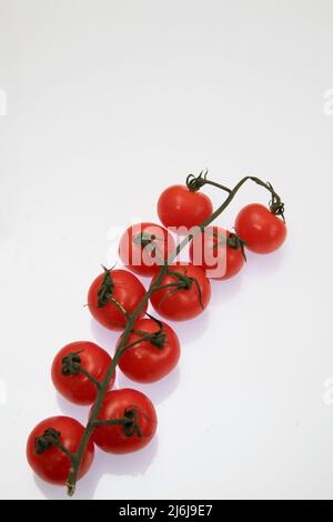 Tomaten von der Isle of Wight Mai 2022 Stockfoto