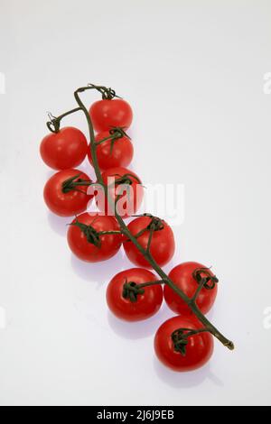 Tomaten von der Isle of Wight Mai 2022 Stockfoto