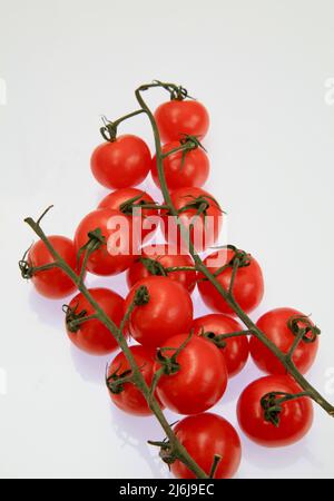 Tomaten von der Isle of Wight Mai 2022 Stockfoto