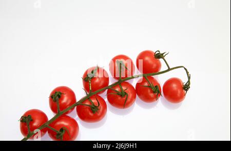 Tomaten von der Isle of Wight Mai 2022 Stockfoto