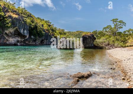 Mangrovenwald auf der Roten Insel, Ostnusa Tenggara Provinz, Indonesien Stockfoto