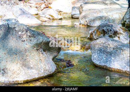 Bergbach, Wassermangel oder -Fülle und Dürre. Trockene Flüsse. Stockfoto