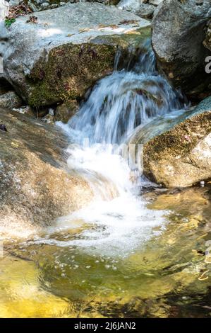 Bergbach, Wassermangel oder -Fülle und Dürre. Trockene Flüsse. Stockfoto