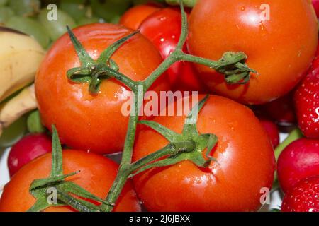 Nahaufnahme farbenfrohe, frische runde rote Tomaten, köstliche Früchte. Die noch auf der Weinrebe aufgebackene, frische Bio-Frucht eignet sich hervorragend für gesunde Ernährung Stockfoto