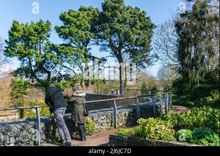 Pärchen genießen im späten Winter die Sonne im Robinson Garden. Stockfoto