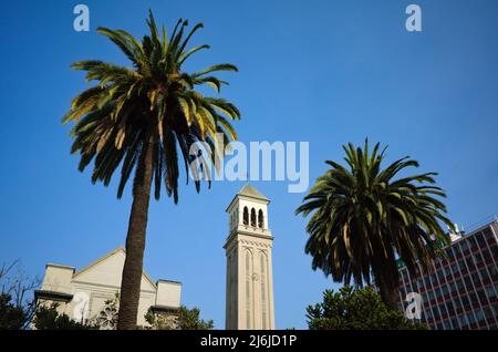 Blick auf den Glockenturm der Catedral de Valparaiso zwischen zwei Palmen vor blauem Himmel. Glockenturm der katholischen Kirche im gotischen Baustil Stockfoto