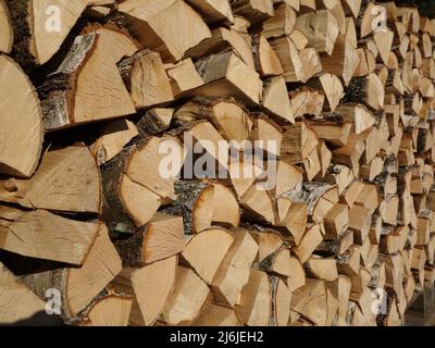 Vor kurzem haben wir Birken abgesäumt, die zu Holz geschnitten und auf Paletten zusammengestapelt wurden, um sie zu Laubholz zu trocknen. Norwegisches Brennholz in Schornsteinen. Stockfoto