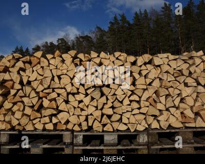 Drei Versionen des Holzes, der Wald hinter dem Holzstapel, der auf Holzpaletten steht. Alle guten Dinge sind dreifach. Stockfoto