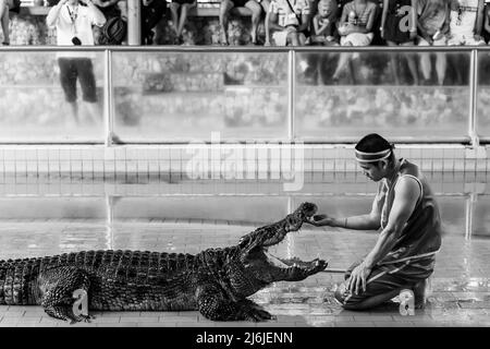 Pattaya, Thailand - 7. Dezember 2009: Pattaya Crocodile Farm Show. Der Darsteller legt seine Hand in den Mund des Krokodils. Schwarzweiß-Fotografie Stockfoto