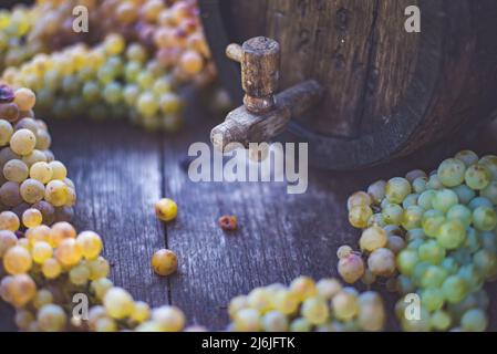 Weinfass mit Riesling-Trauben auf Fass in der Erntezeit, Ungarn Stockfoto