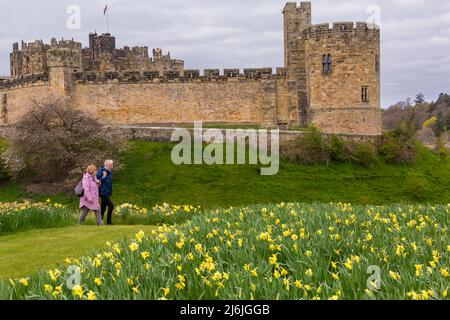 Alnwick Castle in Alnwick, Northumberland im April Stockfoto