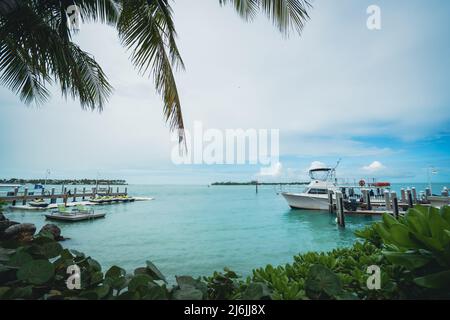 Boote im blauen Meerwasser in Key West, Florida Stockfoto